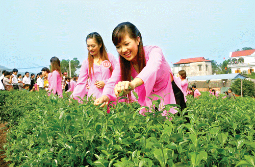 Nhiều quốc gia tham gia Festival Trà Thái Nguyên lần thứ 2 năm 2013 Nhiều quốc gia tham gia Festival Trà Thái Nguyên lần thứ 2 năm 2013