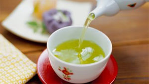 chè cành 777 Thái Nguyên chè cành 777 Thái Nguyên