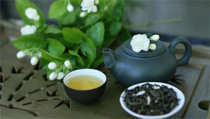 chè Kim Tuyên Thái Nguyên chè Kim Tuyên Thái Nguyên